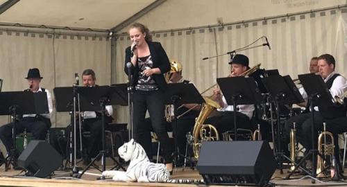 Stadtfest Schömberg 2019