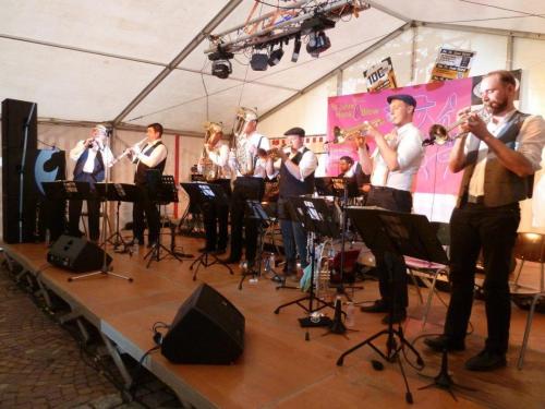 Blowfeld live on stage