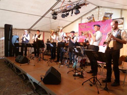 Blowfeld live on stage